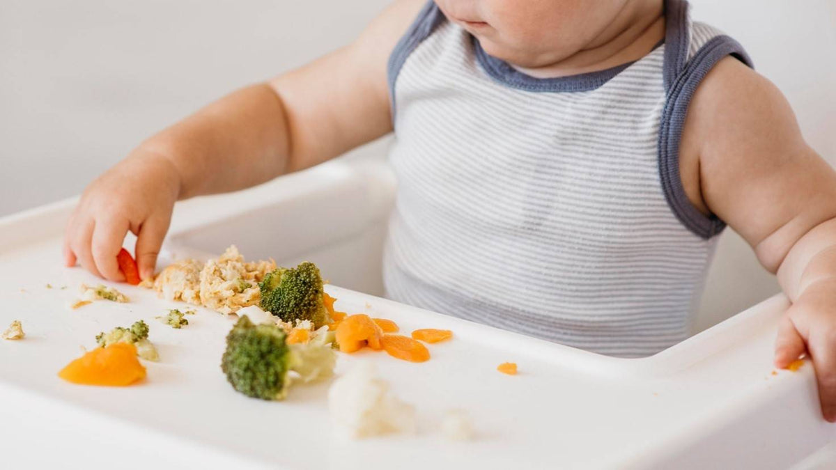 Food Safety Guide For Babies And Toddlers