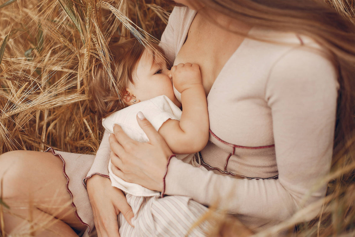 Breastfeeding Your Baby -  What You Should Know