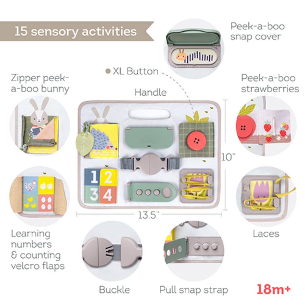 Taf Toys Activity Buckles Board