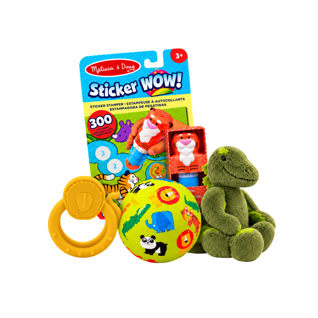 Toys Gift Set (Boy)