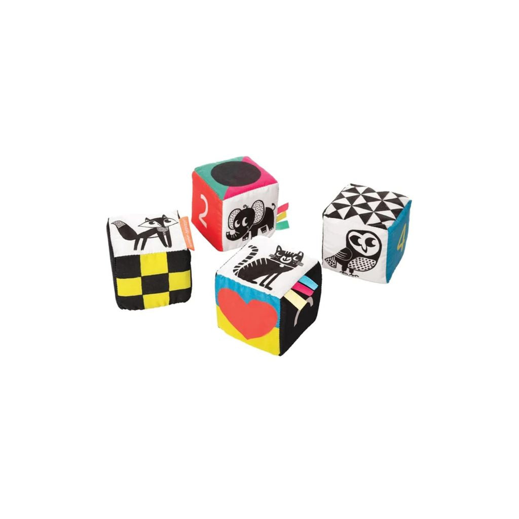 Manhattan Toy Wimmer Ferguson Mind Cubes