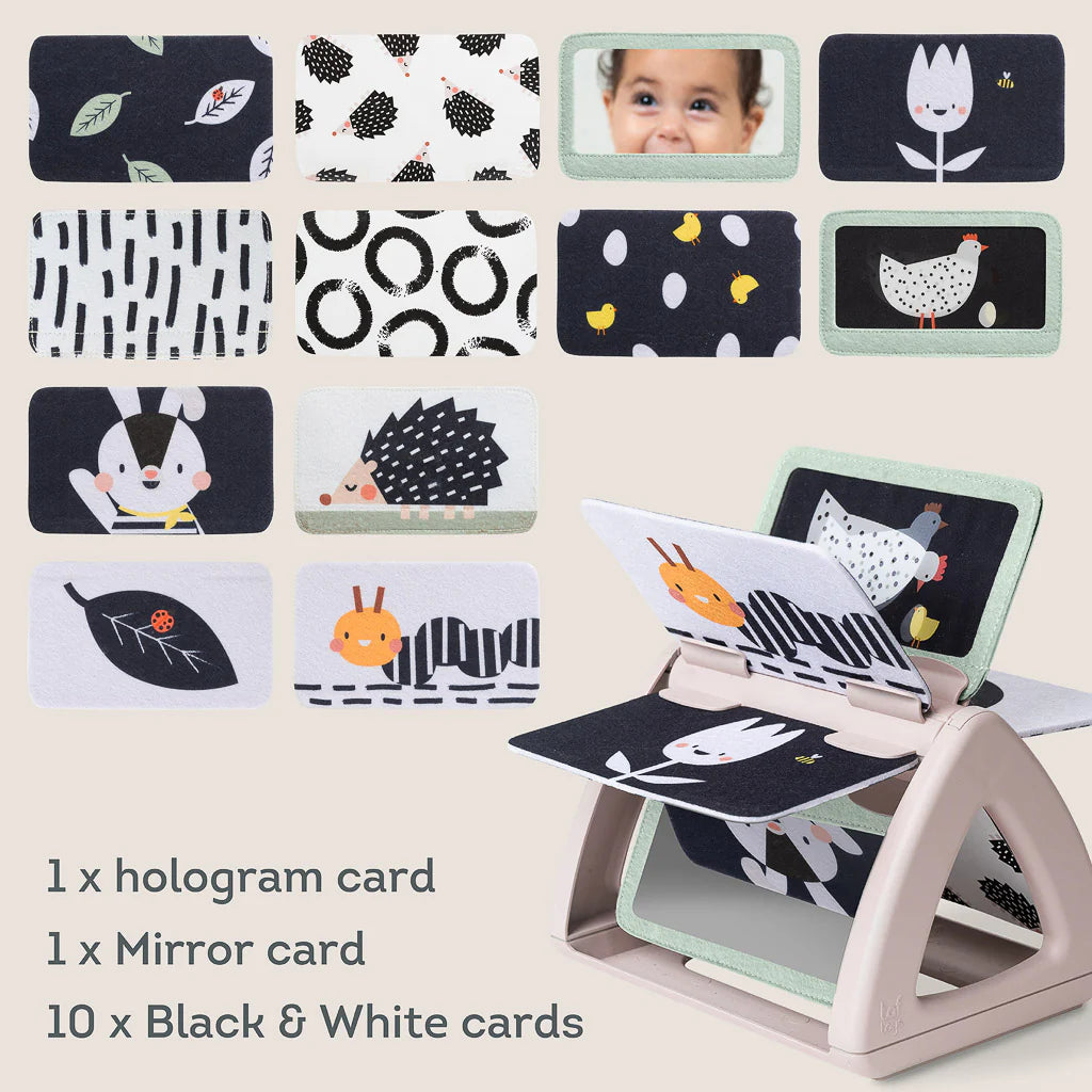 Taf Toys Black & White Tummy Time Rattling Spinning Book