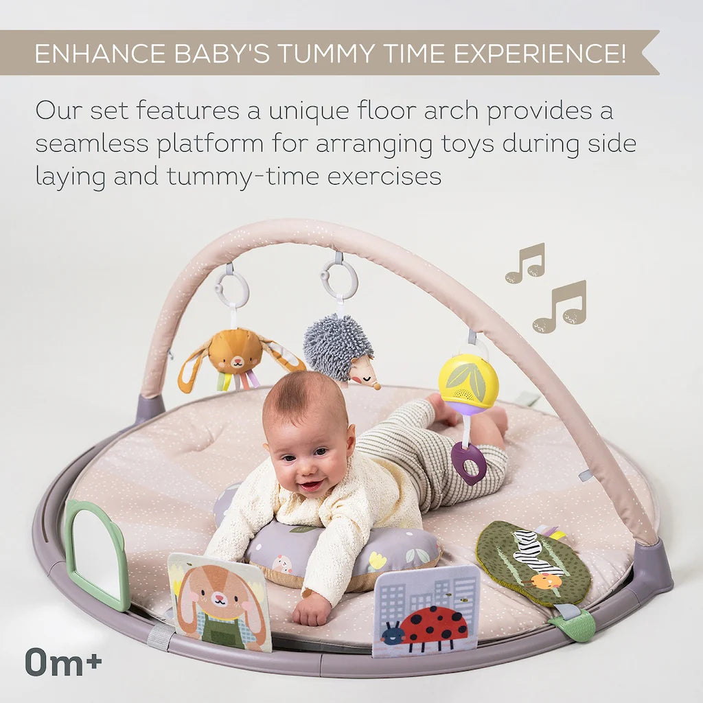 Taf Toys Tummy Time Activity Gym