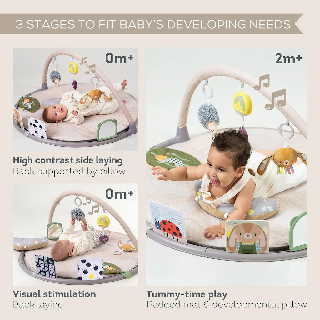 Taf Toys Tummy Time Activity Gym