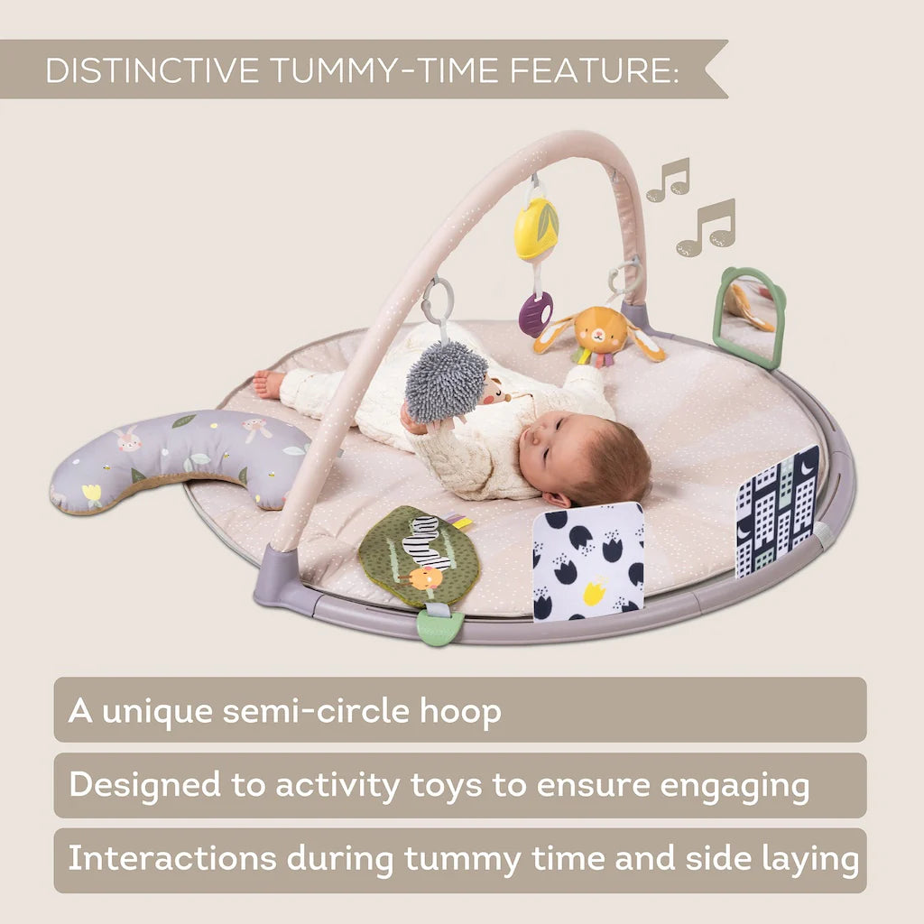 Taf Toys Tummy Time Activity Gym