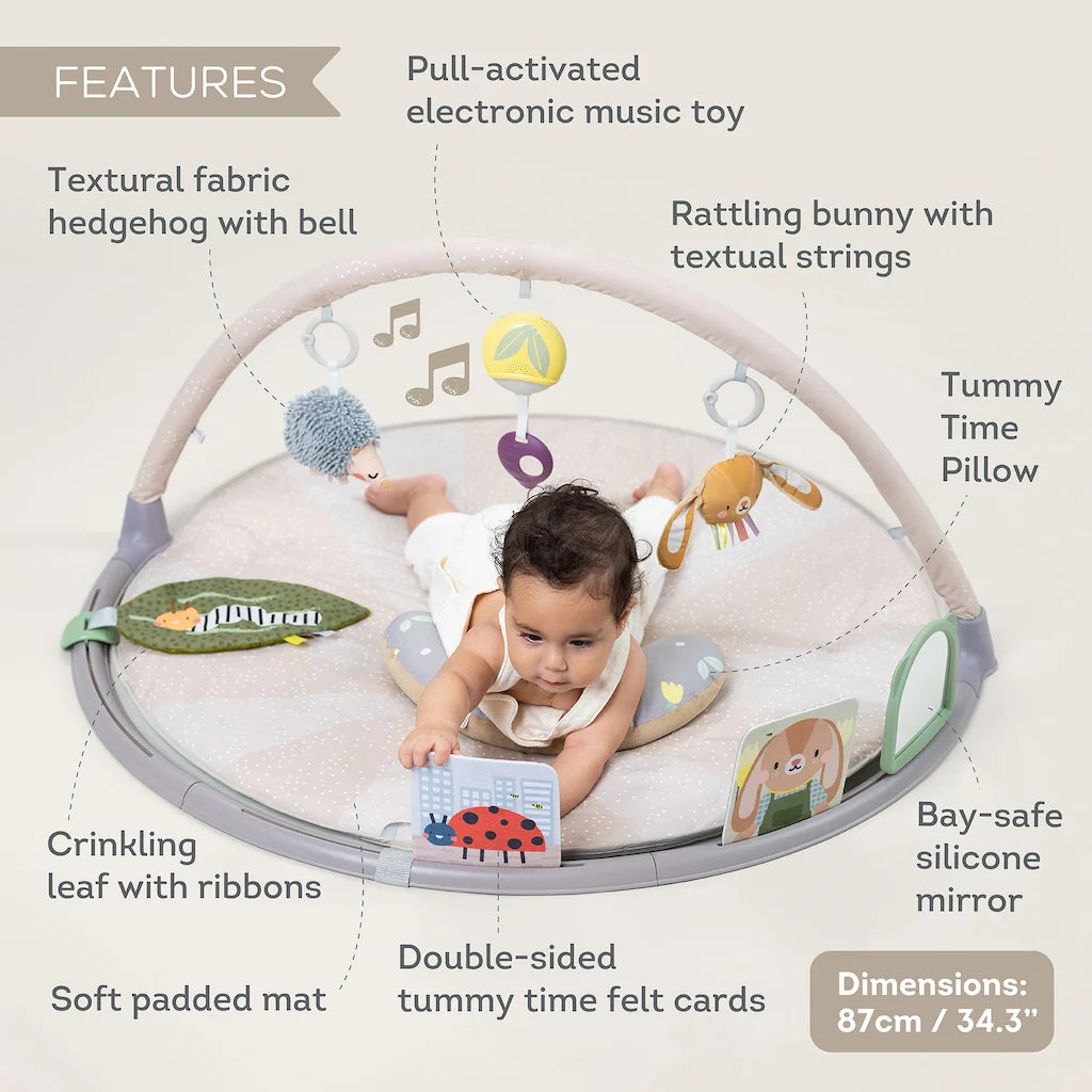 Taf Toys Tummy Time Activity Gym