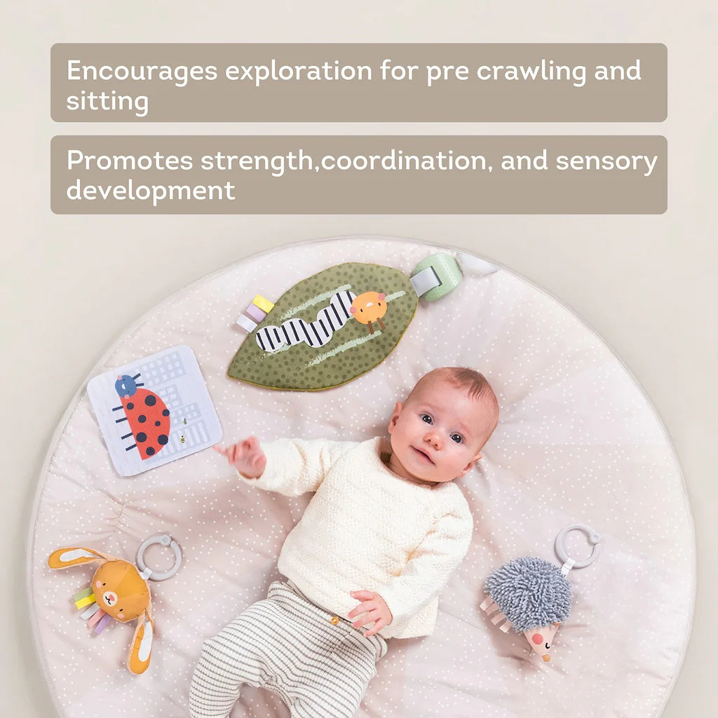 Taf Toys Tummy Time Activity Gym