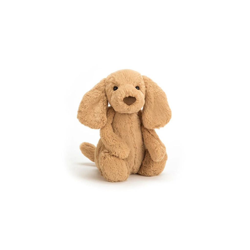 Jellycat Bashful Toffee Puppy