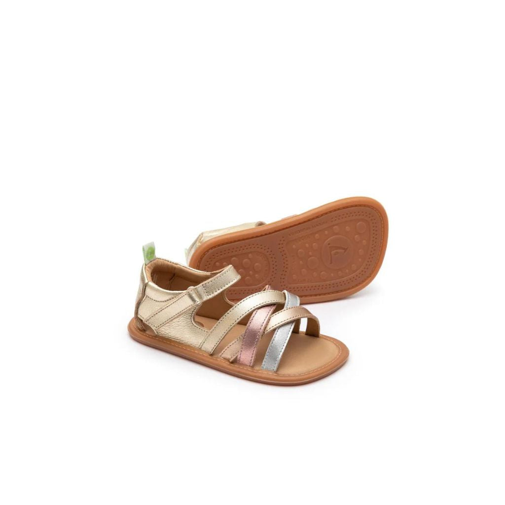 Tip Toey Joey Toddler Sandal Criss Cross - Chm/ M.Salmon/ Rose Gold