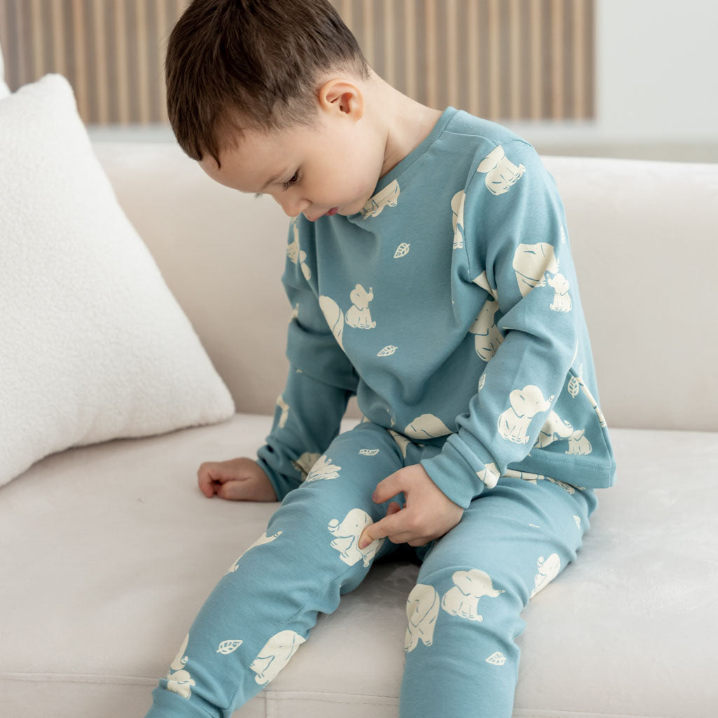 Motherswork x Le Petit Society Long Sleeve Organic Pyjamas Set in Elephant Print