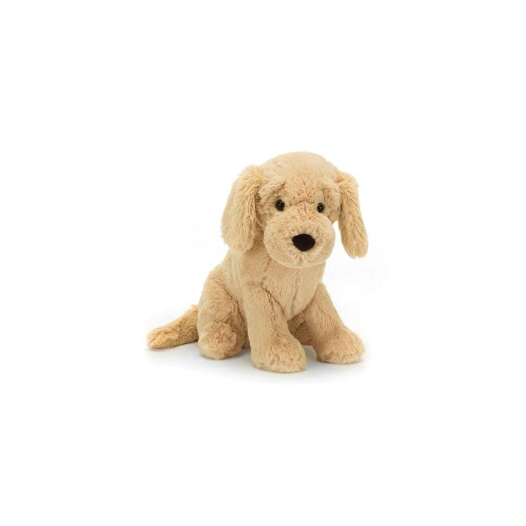 Tilly Golden Retriever