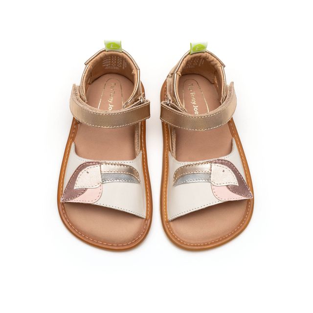 Tip Toey Joey Toucan