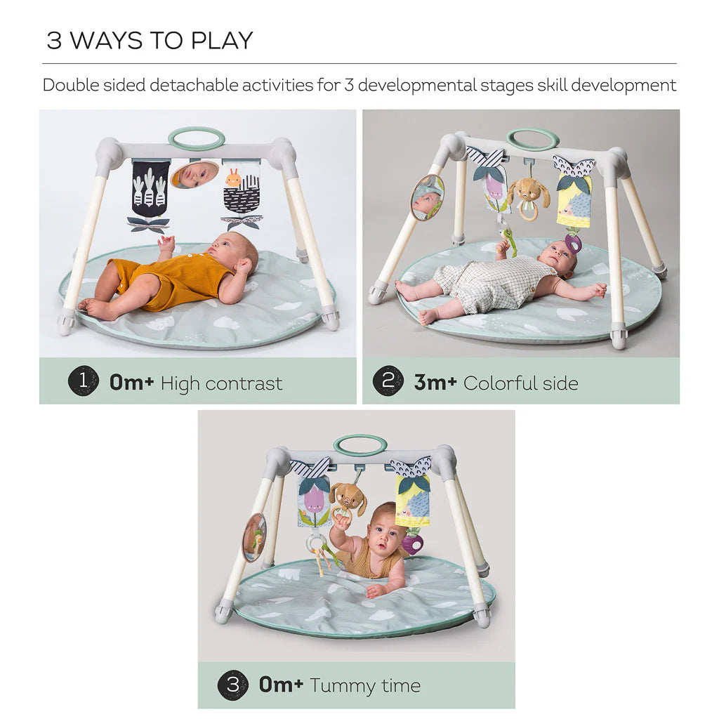 Taf toys baby gym sales