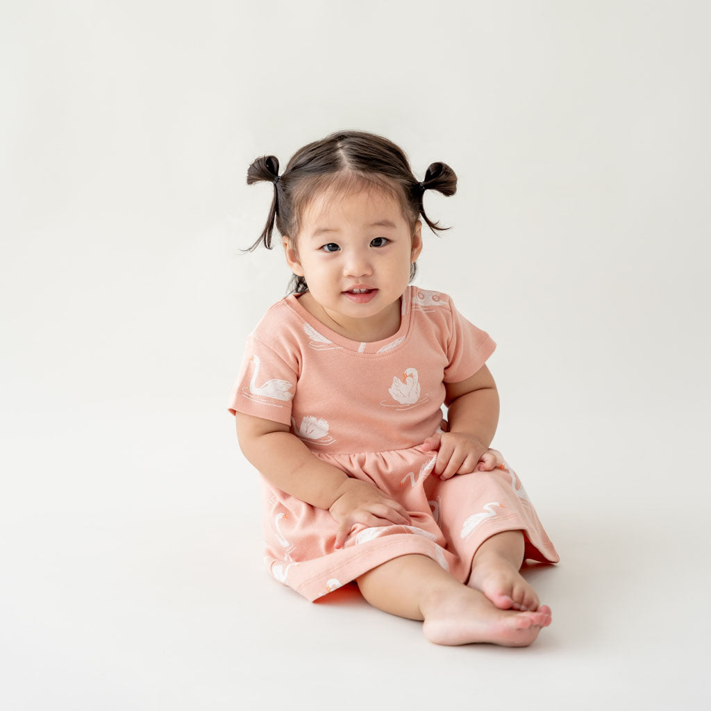 Motherswork x Le Petit Society Baby Girl Organic Dress in Swan Print