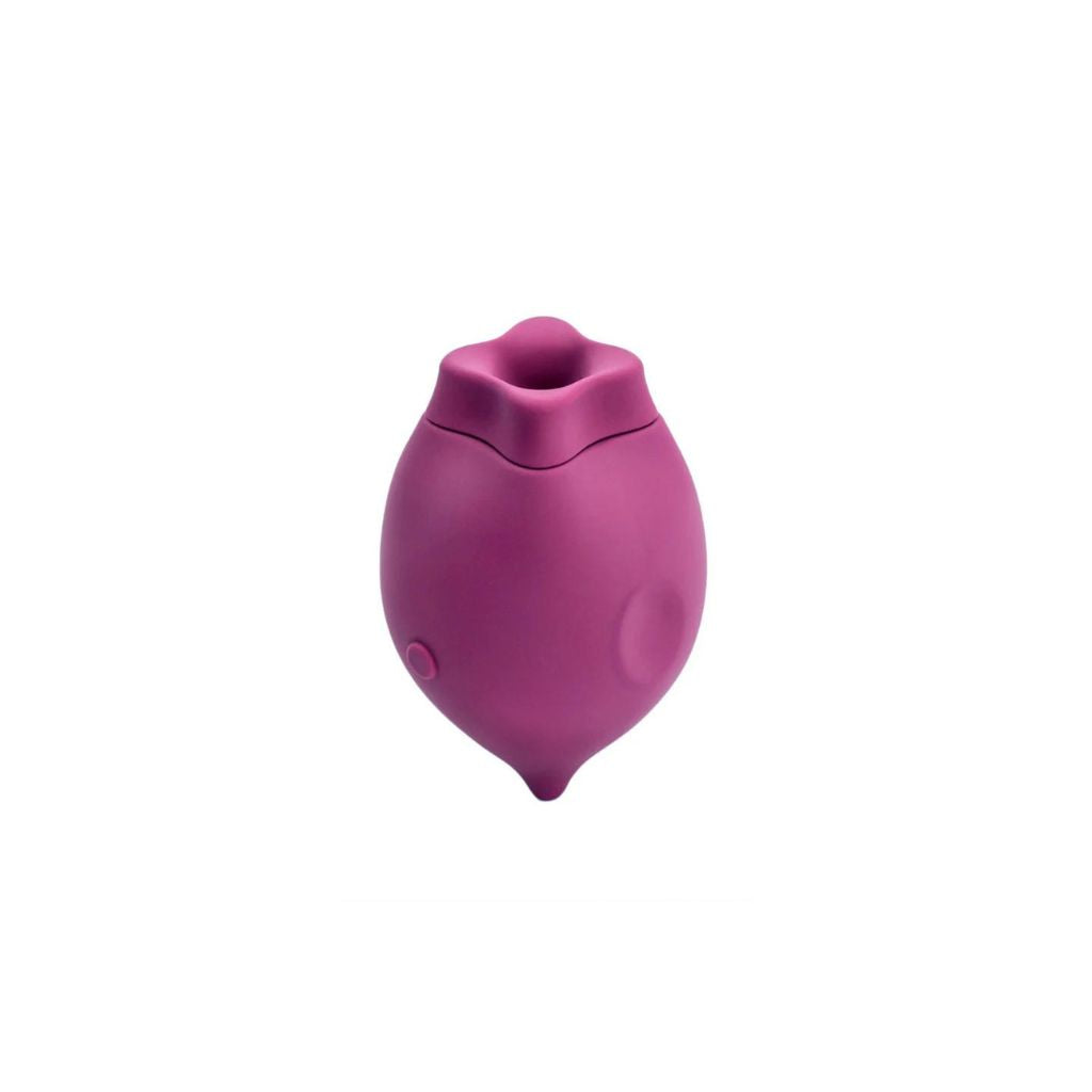 Smile Makers The Poet Clitoral Suction Vibrator