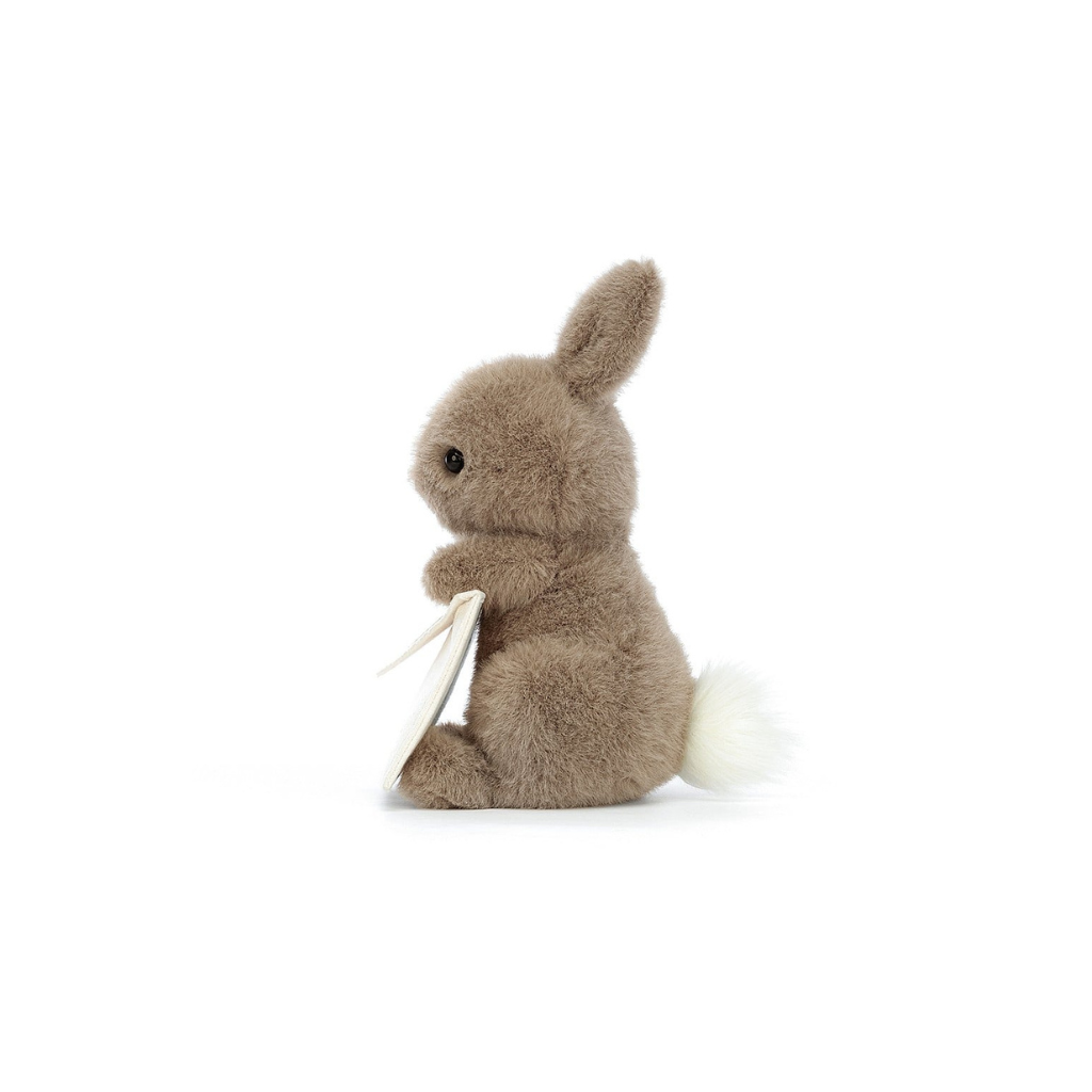 Jellycat Messenger Bunny