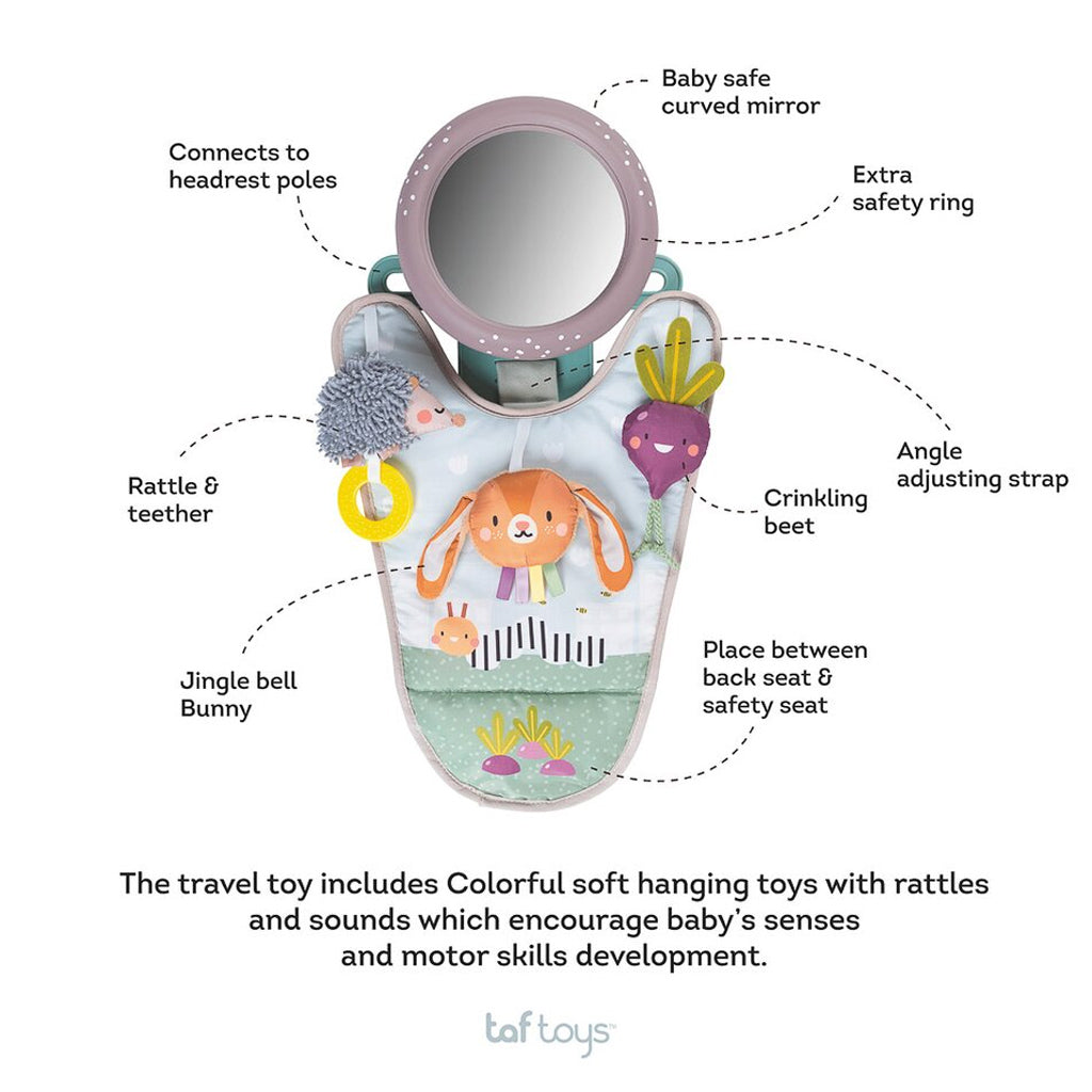 Taf Toys Urban Garden in Car Activity Center