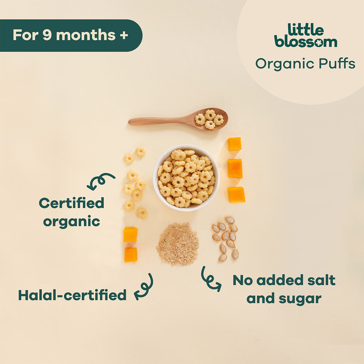 Little Blossom Organic Brown Rice Puffs | Pumpkin