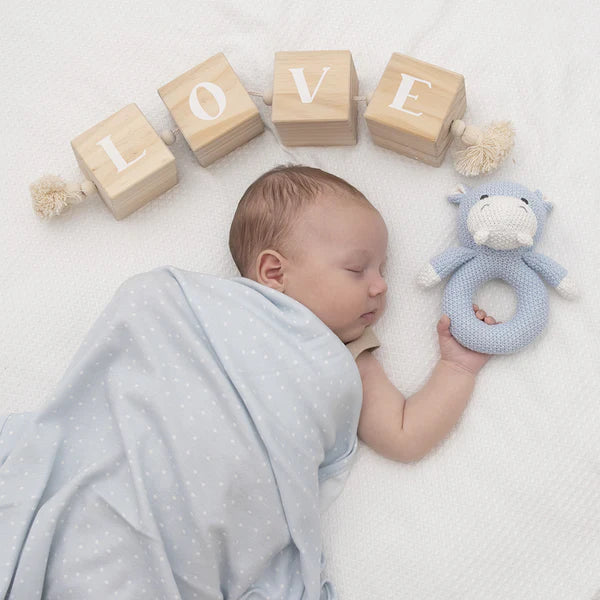 Living Textiles Jersey Swaddle & Rattle Gift Set