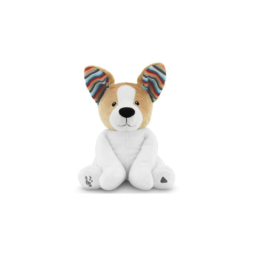 Zazu Peek-A-Boo Soft Toy Dog with Flapping Ears and Sound (Danny the Dog)