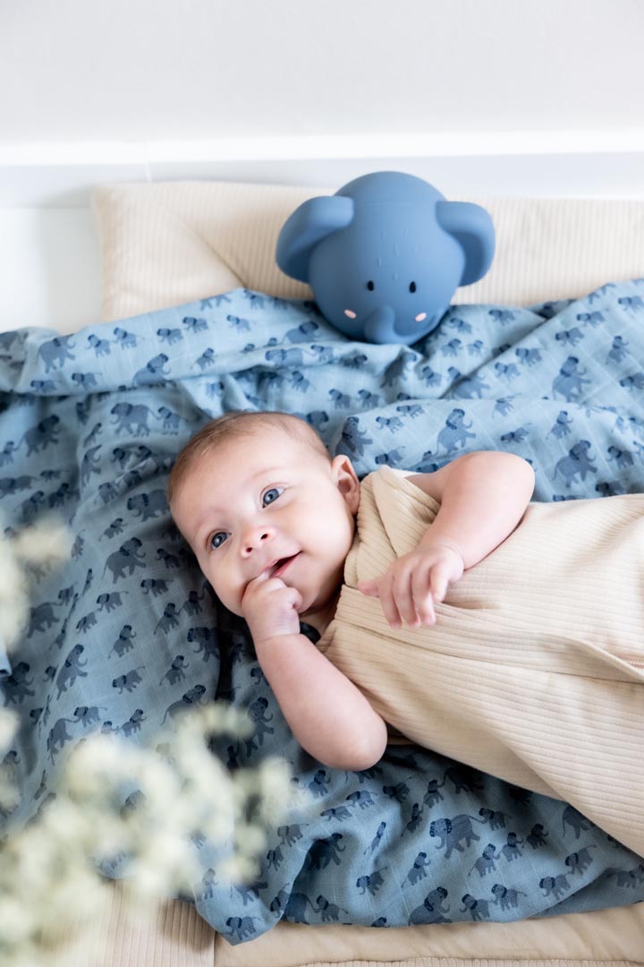 Trixie Animal Night Light