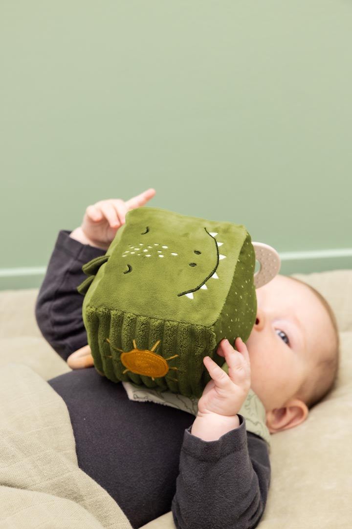 Trixie Animal Activity Cube (Assorted)