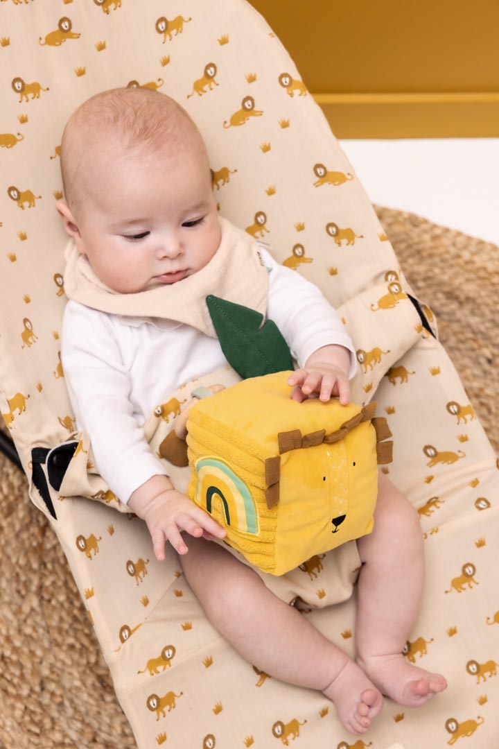 Trixie Animal Activity Cube (Assorted)