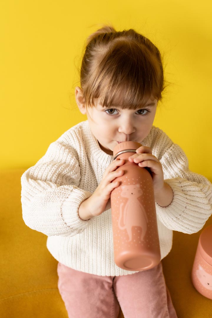 Trixie Water Bottle (500ml)