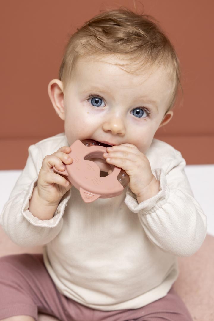 Trixie Cooling Teether