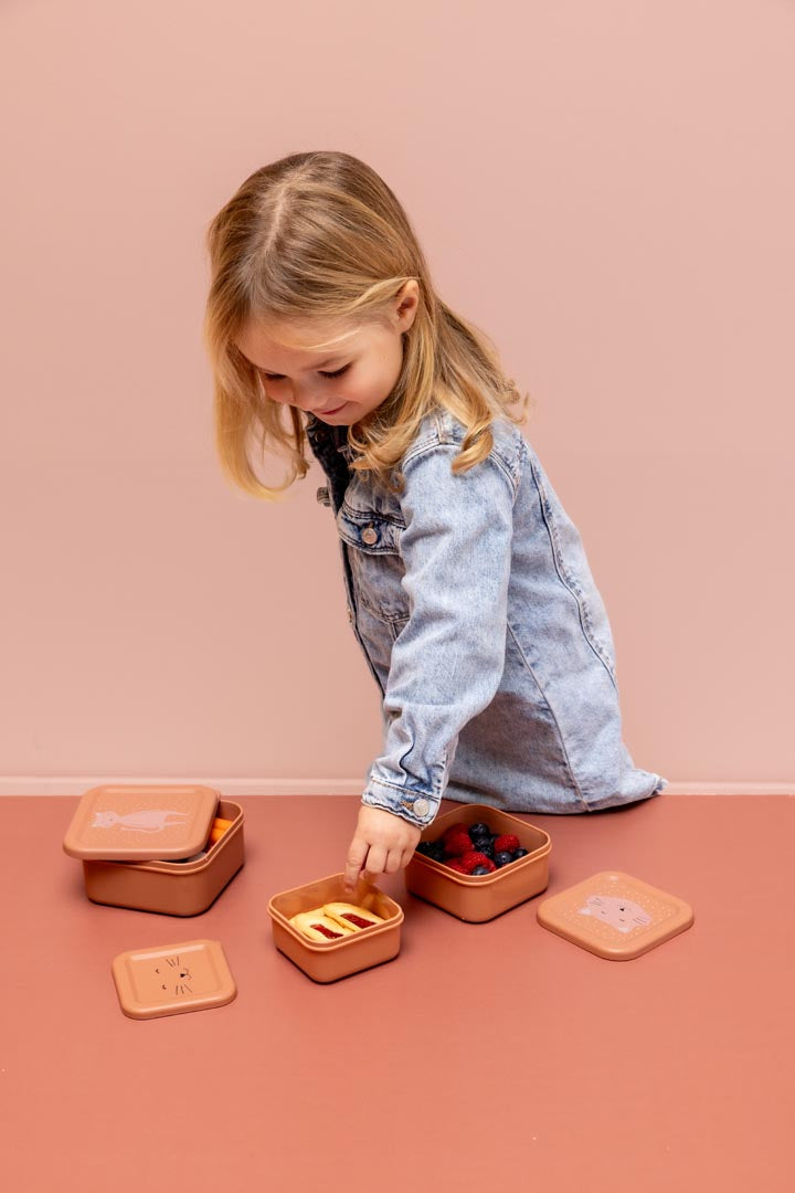 Trixie Snack Box Nesting (3pcs)