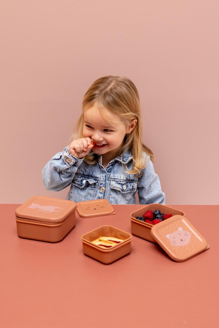 Trixie Snack Box Nesting (3pcs)