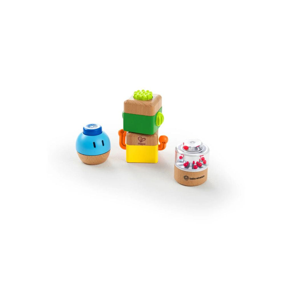 Hape Four Fundamentals Wooden Sensory Set