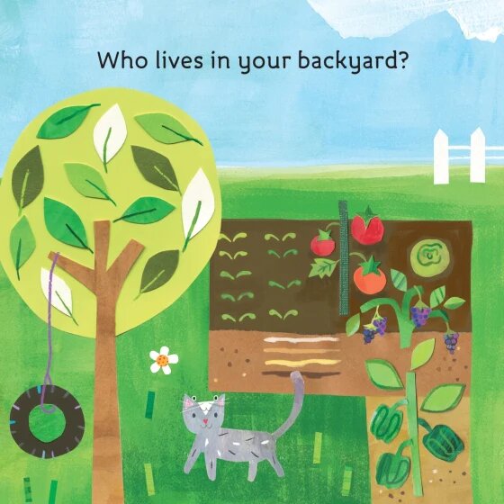 Hello, World! Board Book Series Backyard Bugs