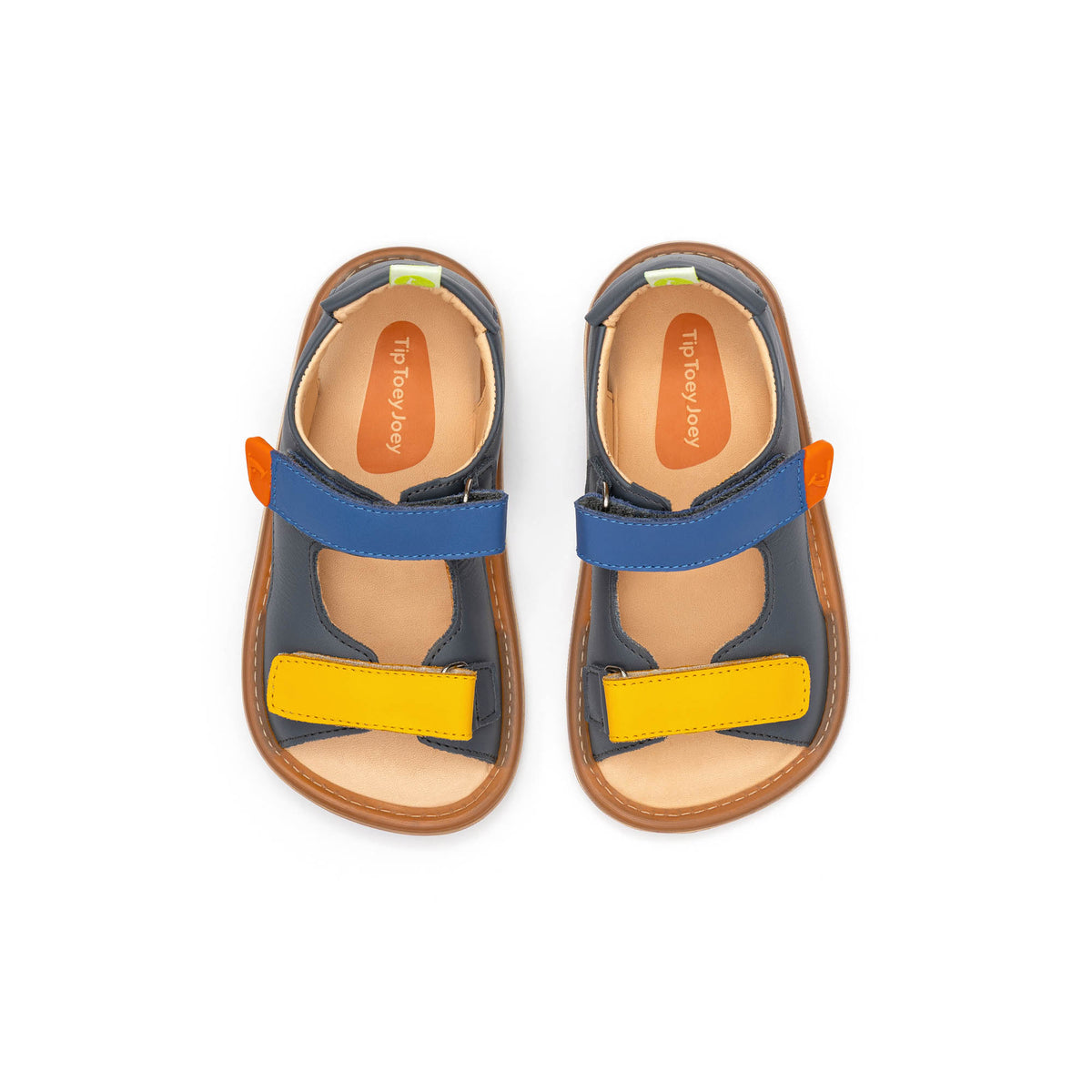 Tip Toey Joey Explore (Slate Blue/Caja/Blue Tang)