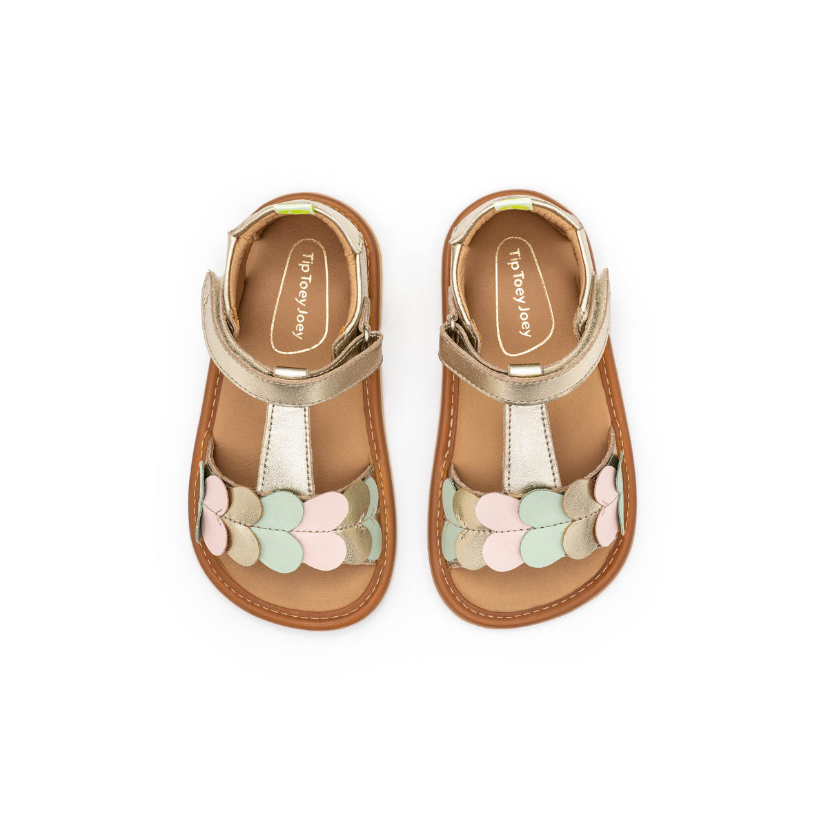 Tip Toey Joey Lovely (Champagne/Mint/Pink)