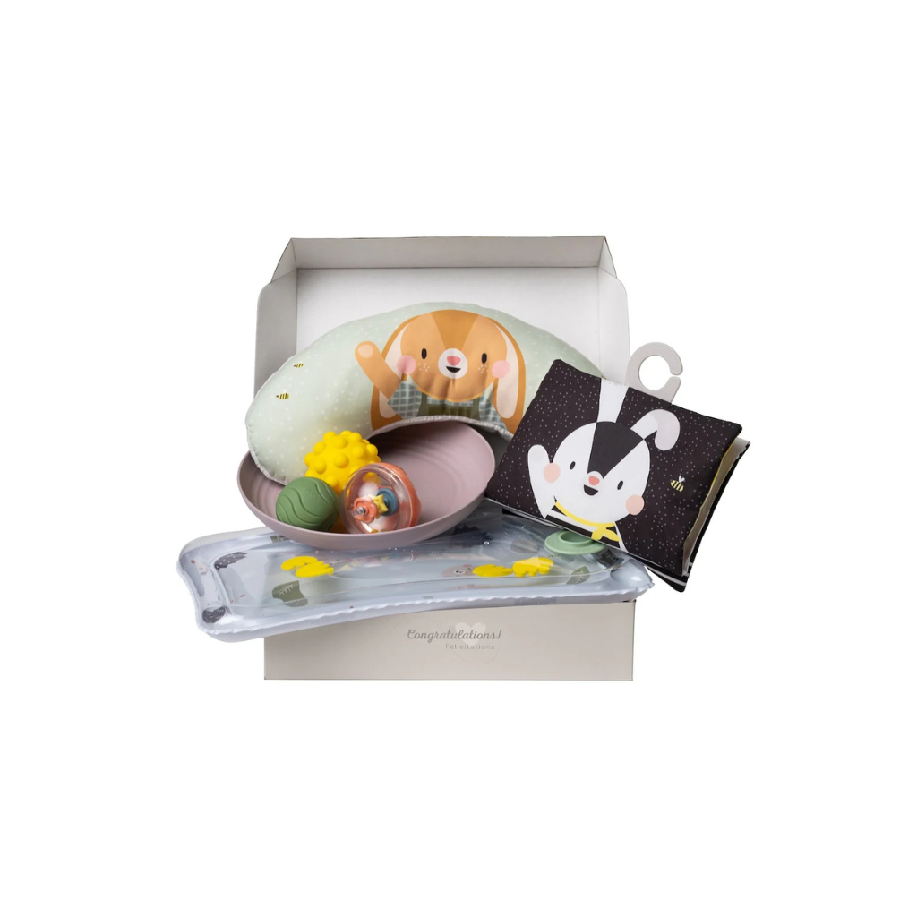 Taf Toys Tummy Time Essentials Kit