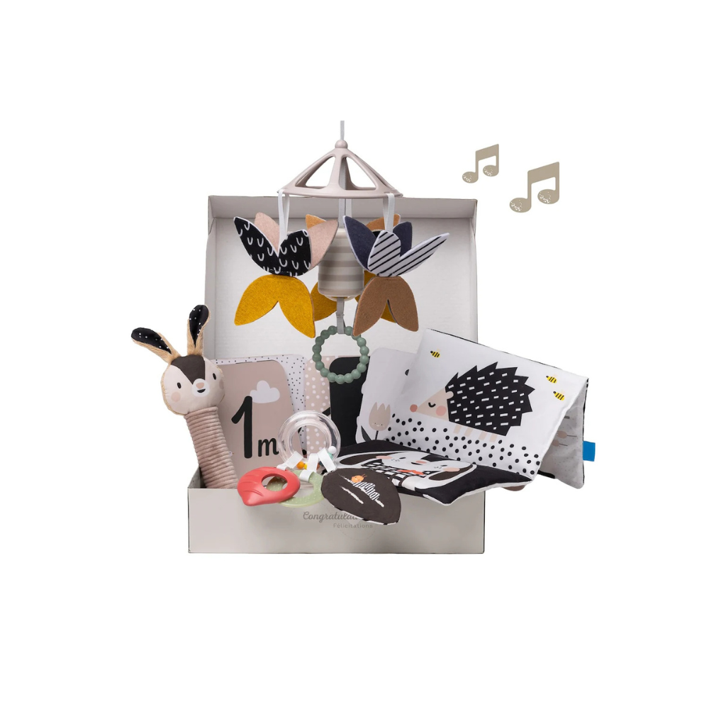 Taf Toys Newborn Black & White Kit