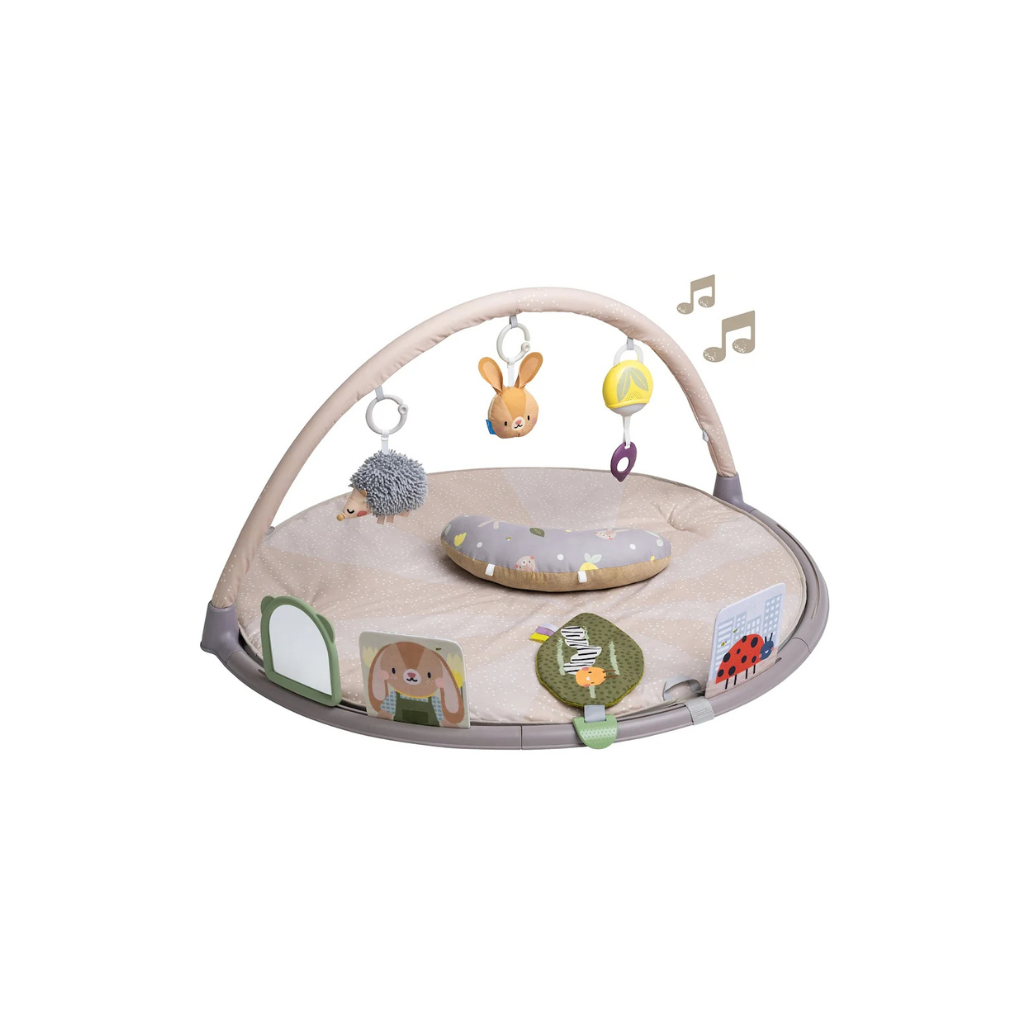 Taf Toys Tummy Time Activity Gym