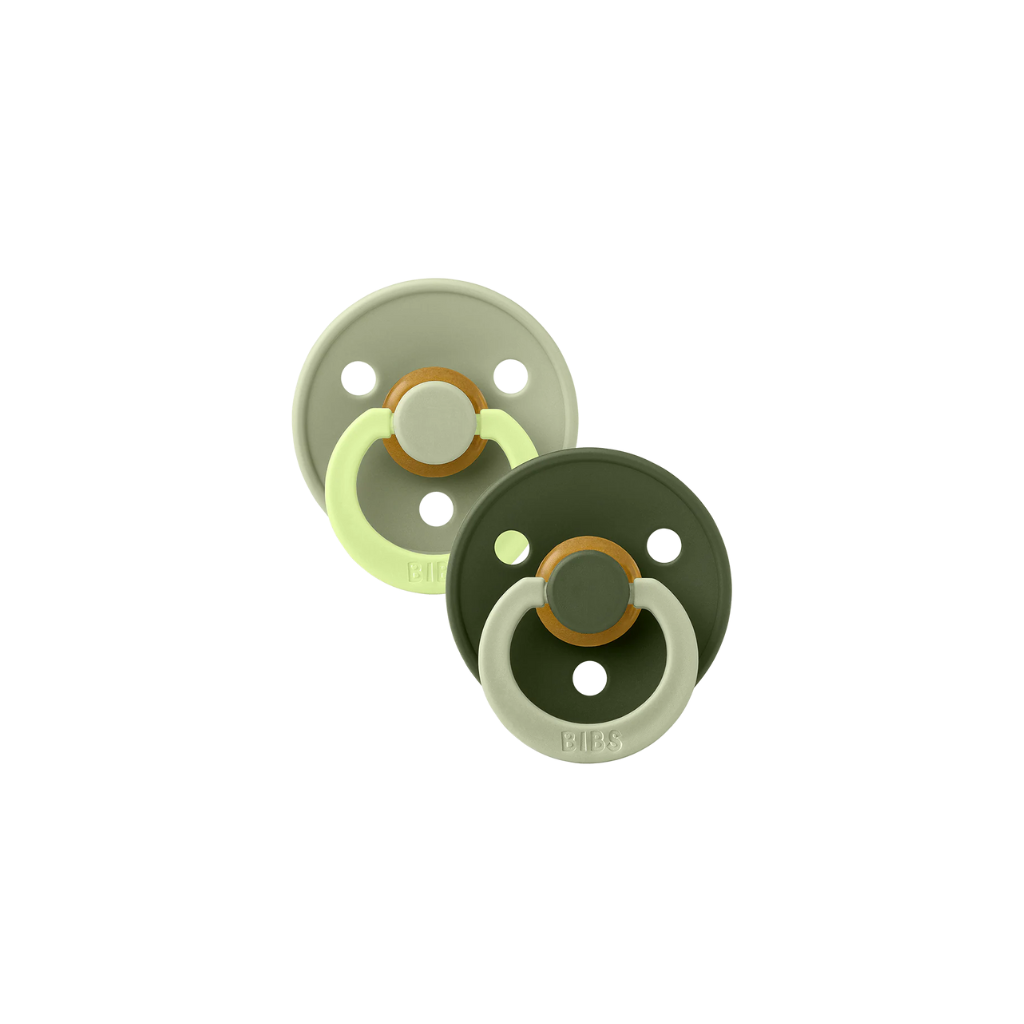 BIBS Studio Colour 2 Pack Fusion Pacifiers
