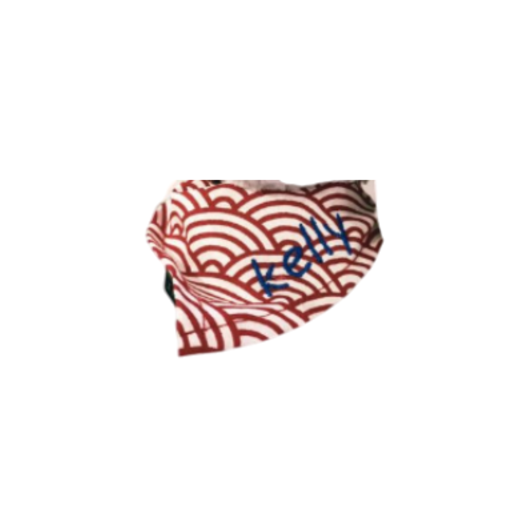 Customization Service - Bib