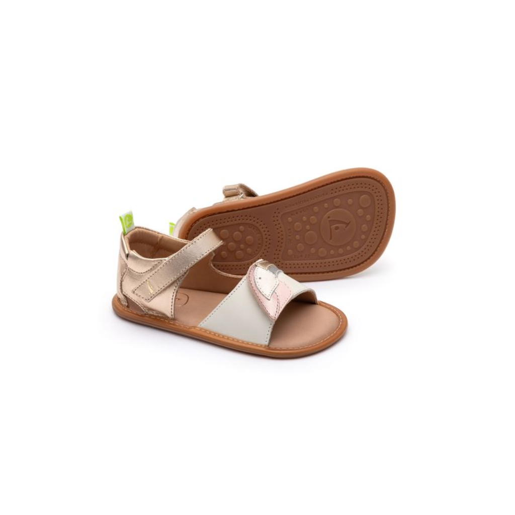 Tip Toey Joey Toucan