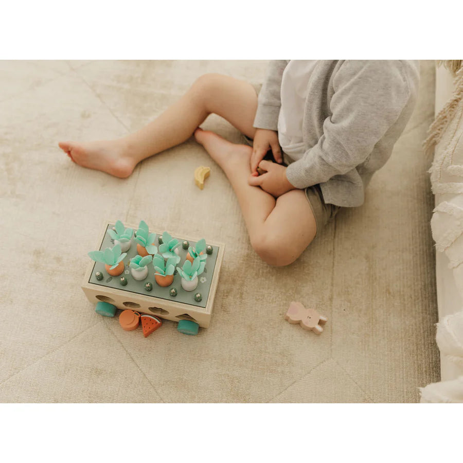 Bubble Wooden Vegetable Garden