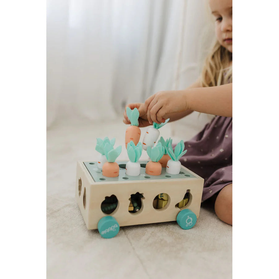 Bubble Wooden Vegetable Garden