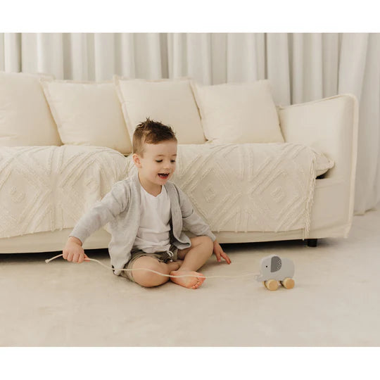 Bubble Wooden Elephant Pull Along Toy