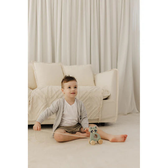 Bubble Wooden Raccoon Pull Along Toy