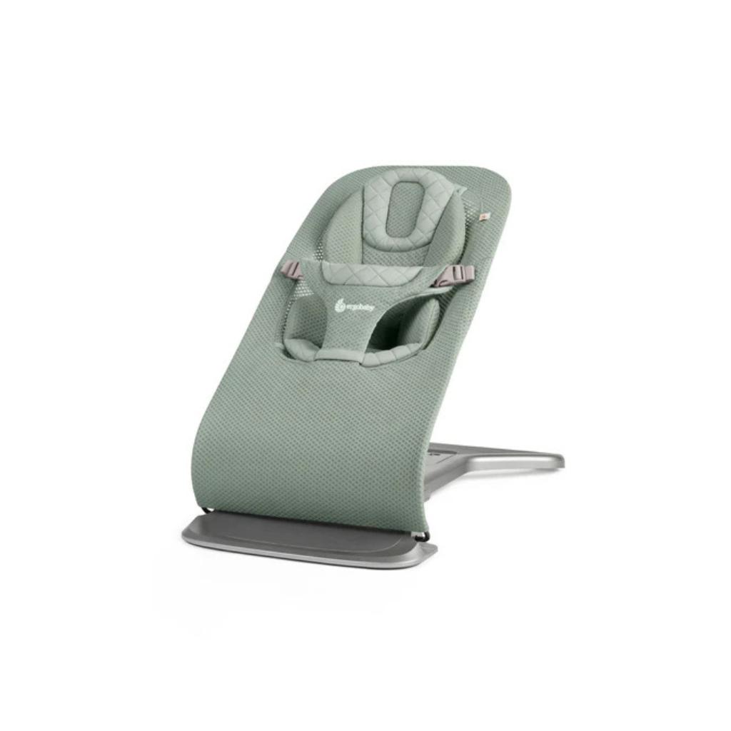 Ergobaby Evolve 3 in 1 Bouncer
