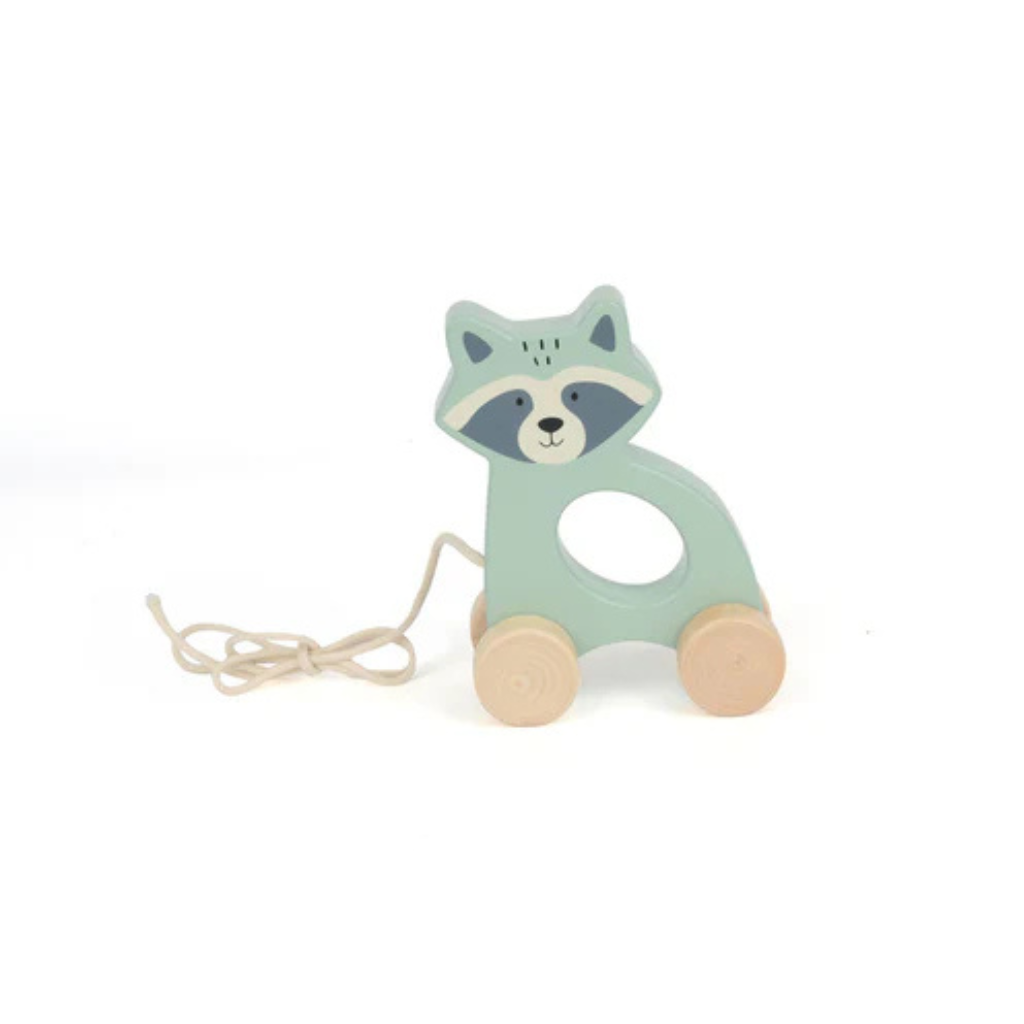 Bubble Wooden Raccoon Pull Along Toy