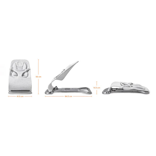 Ergobaby Evolve 3 in 1 Bouncer