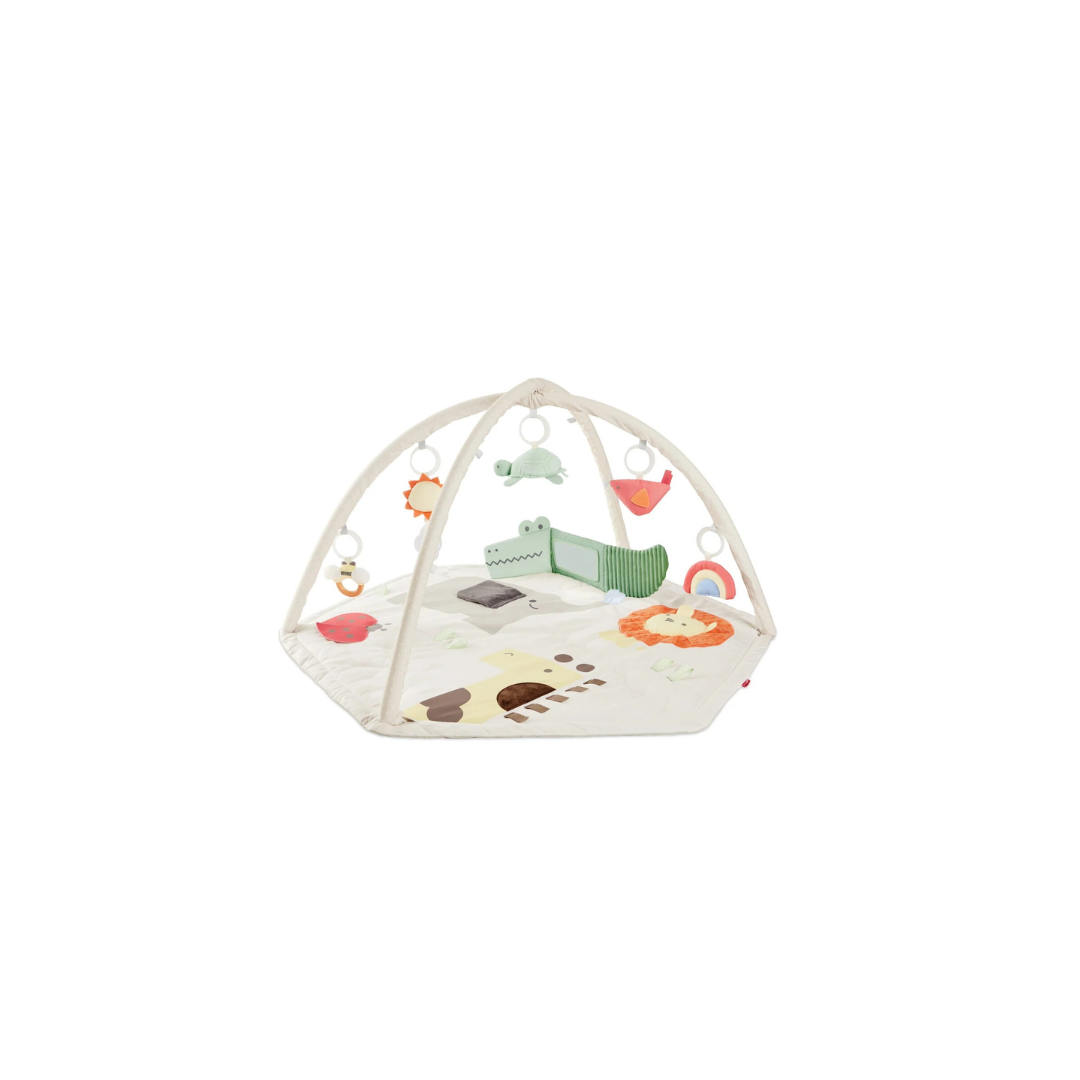 Skip Hop Geometric Wonders Activity Gym