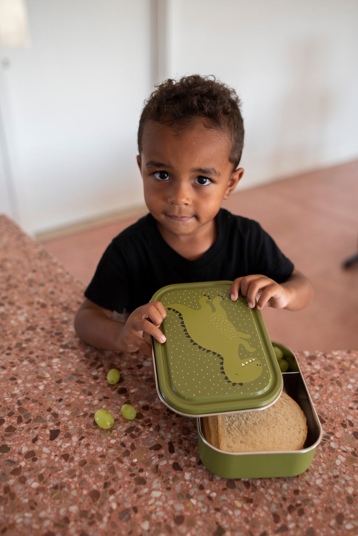 Trixie Large Animal Lunch Box